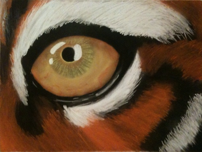 Tiger Pastel Drawing eye hand drawn pastels tiger