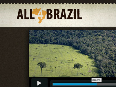 All4brazil branding website wordpress