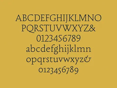 Renatus branding font graphic design typography