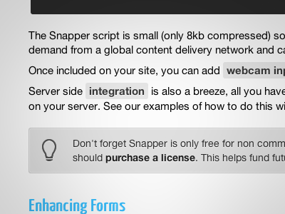Webcam Snapper documentation documentation flash grey snapper webcam widget