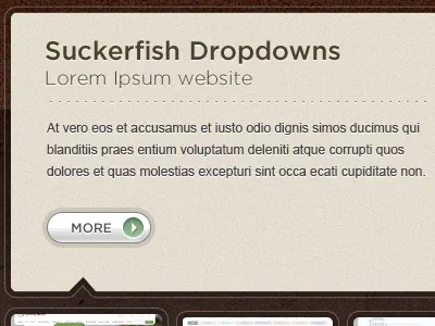 Big Bluto Image Slider brown button gotham image slider portfolio