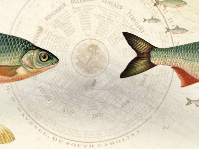 poster for farmers market