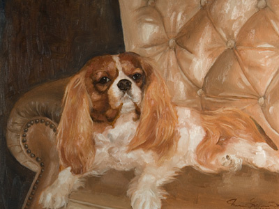 KC-Dog dog illustration painting pet