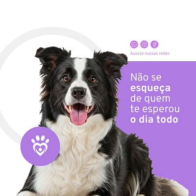 Social Media | Pets - Clinic app branding graphic design logo ui