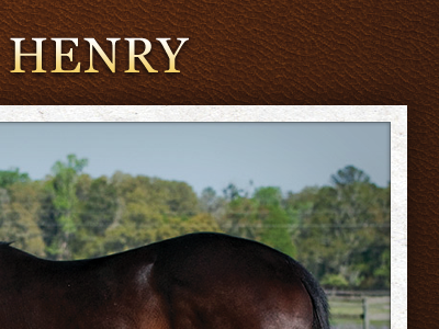 Henry brown georgia horse butt leather yellow