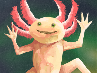 Axolotl a modern eden axolotl dribbblin after dark playoff pokémon