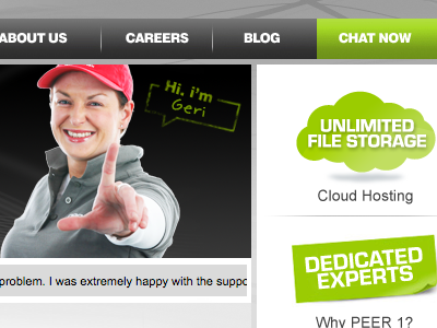 PEER 1 home page green grey hosting web design