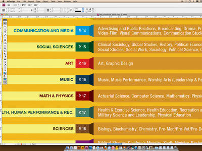 College viewbook table of contents design print