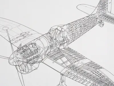 Hurricane illustration