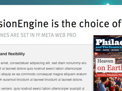 EE type ee expressionengine ff meta web pro type typekit