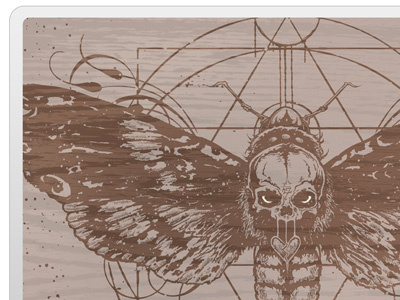 Totenkopf deaths head moth skin skull totenkopf woodgrain