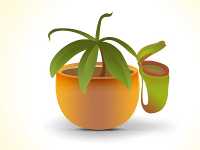 Plantiis carnivorous green logo pitcher plant vector