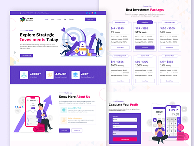 HYIP Investment Platform Website UI Design business cms design graphic design ui ux website