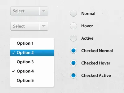 Form Elements blue form radio select