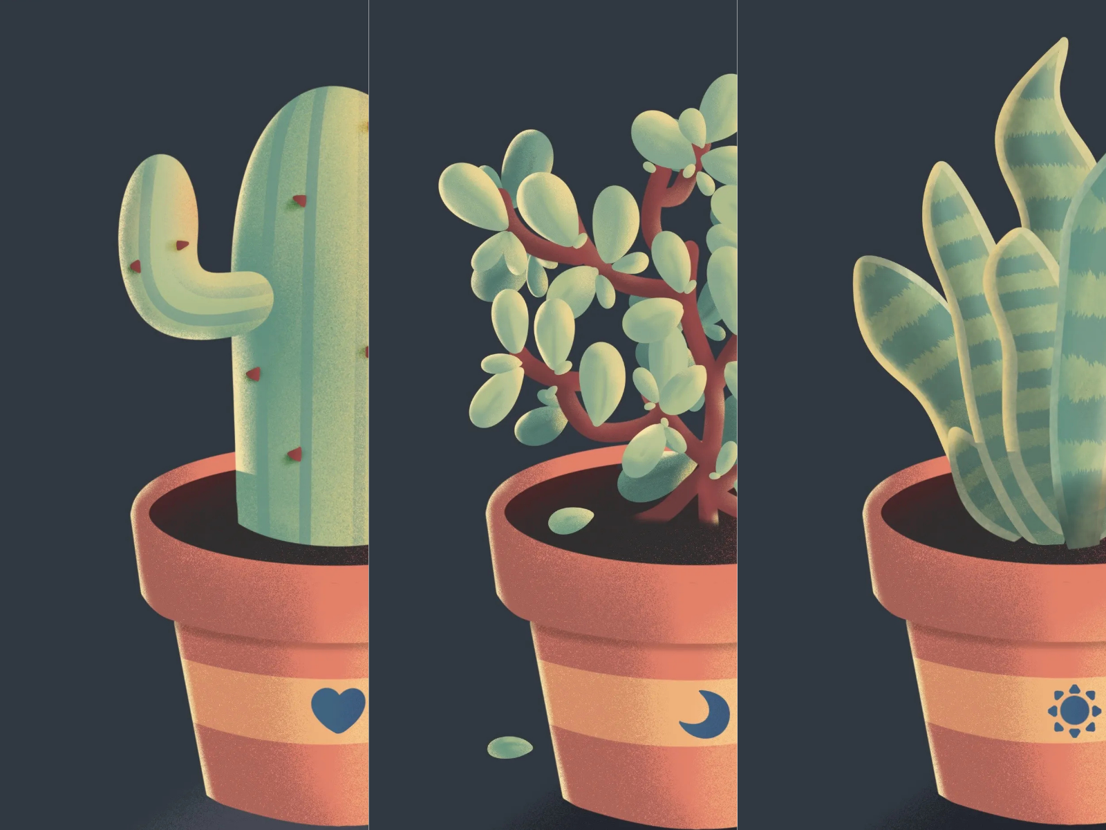 Cactus : Stories of resilience and beauty in simplicity 3d aesthetic animation art cactus creative cute design graphic design illustration inspiration minimal modern nature plants procreate showcase vector