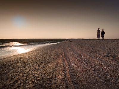 Stroll : Shellness beach dusk shellness shells walkers