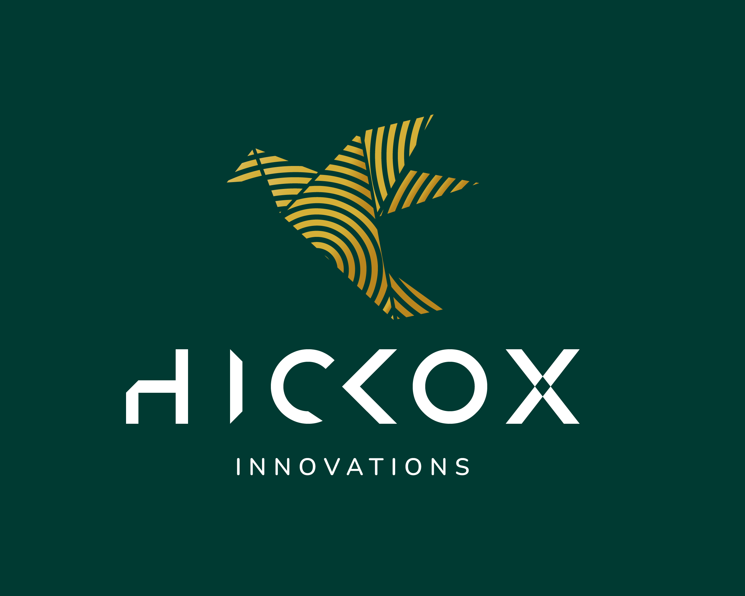 Example of Custom Logo Design For Brands