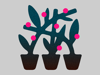 Flowers flowers illustration plant