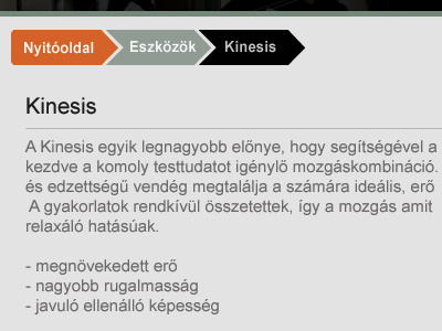Kinesis breadcrumb brown clean crumb dark interface kinesis minimal orange sport web webdesign website