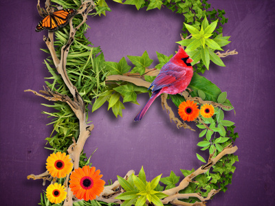 B green illustration orange photoshop purple red type typography