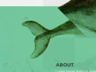 Tail Fin about fin green