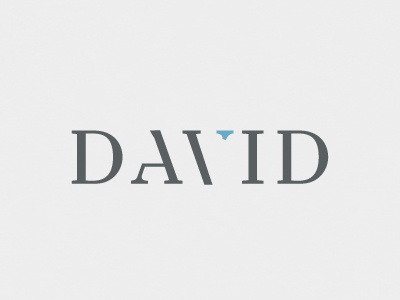 David branding grey logo design