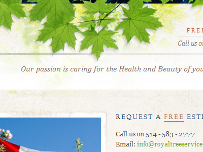 Royal Tree header leaves cambria goudy old style green nature texture