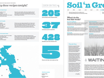 Soil 'n Green blue infographics newsletter typography