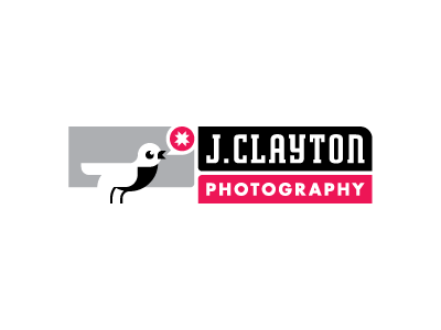 JCP Bird bird logo photography