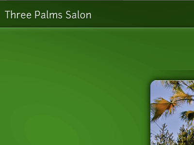 Three Palms Salon Website green junction