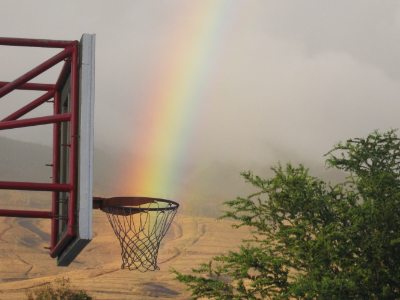 Nothing but net basketball dribbble hawaii maui not photoshop rainbow