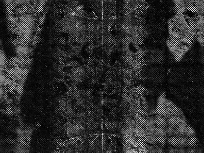 Adventurista Coffee animation branding coffee design graphic design illustration logo motion graphics visual identity