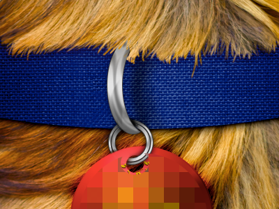 Splash Screen tease app collar dog fabric hair metal