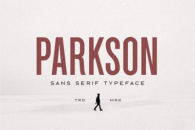 Parkson Sans Serif - 18 Fonts bold classic clean compressed condensed display font fonts grotesque header logo logotype modern movie parkson sans serif 18 fonts strong tall title typeface