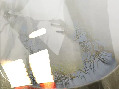 Forest Spirit abstractnature collage ecoart environmentalart etherealdesign forest art graphic design harmonywithnatur immersiveexperience natureart photoshop posters spiritualaesthetic visualpoetry