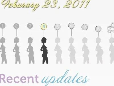Preggo Bar 1.1 baby blogs infographic personal pregnant progress bar website