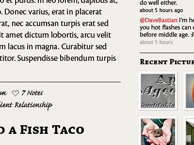 Not so top secret anymore—Adobe on Typekit adobe blog caflisch chaparral cronos tumblr tumblr theme typekit