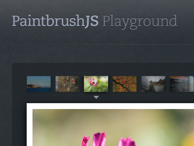 Playground caecilia css css3 filters grey html5 imageprocessing images javascript noise paintbrush paintbrushjs