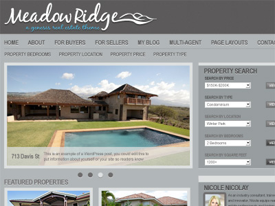 Meadow Ridge genesis gray real estate theme wordpress