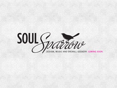 Soul Sparrow Blog Identity birds identity