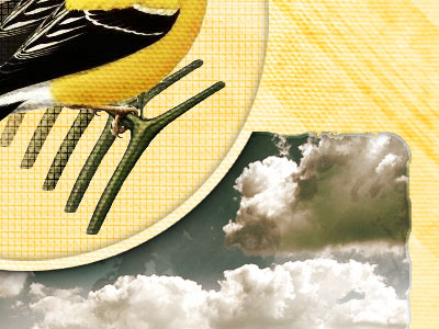 Autobahn Society bird clouds poster thoughtbot