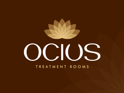 Ocius Logo graphic design logo typography