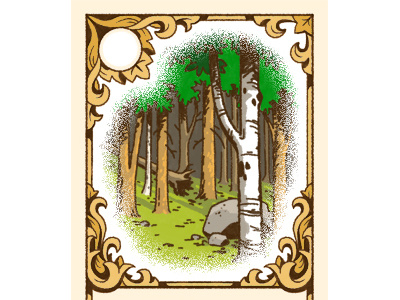 Forest Card design illustration trees