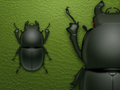 Insect icon