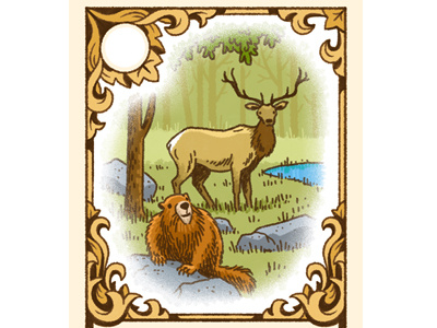 Wildlife Card design elk illustration marmot