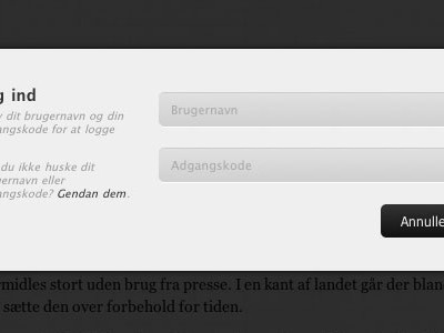 Aduivo Login interface design