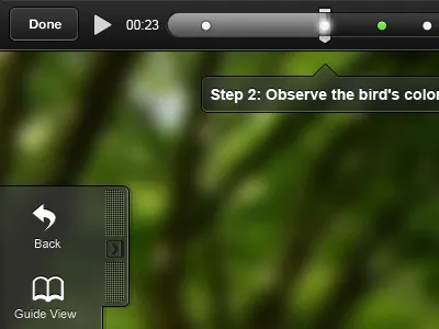 Custom Player for iPad app application ipad player ui
