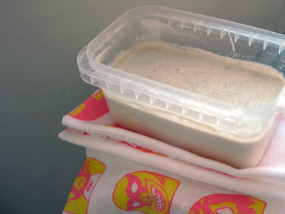 Starter bread dough not design starter