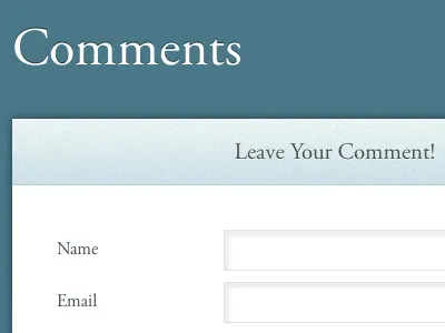 Comment Form blue form texture
