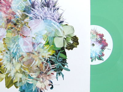 Herculaneum Record album collage flowers herculaneum mint record vinyl